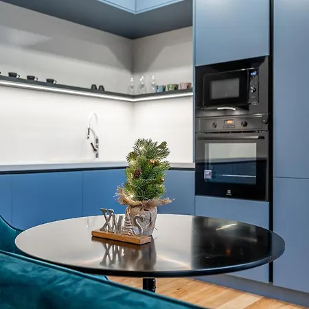 公寓 Timonova V Centre Mesta *